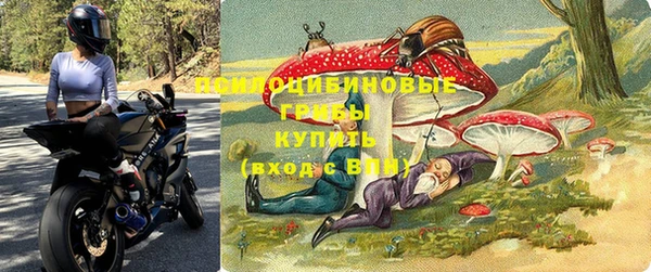 не бодяженный Алексин