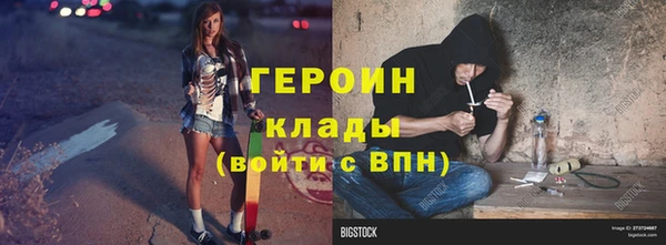 индика Няндома